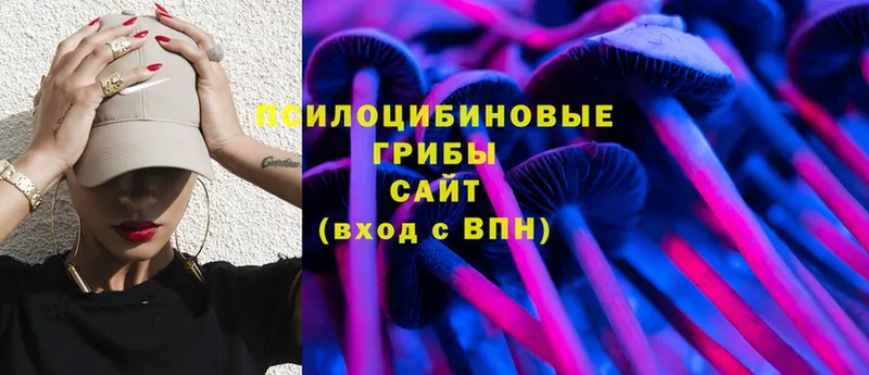 даркнет как зайти  hydra ONION  Гусев  Галлюциногенные грибы Psilocybe 